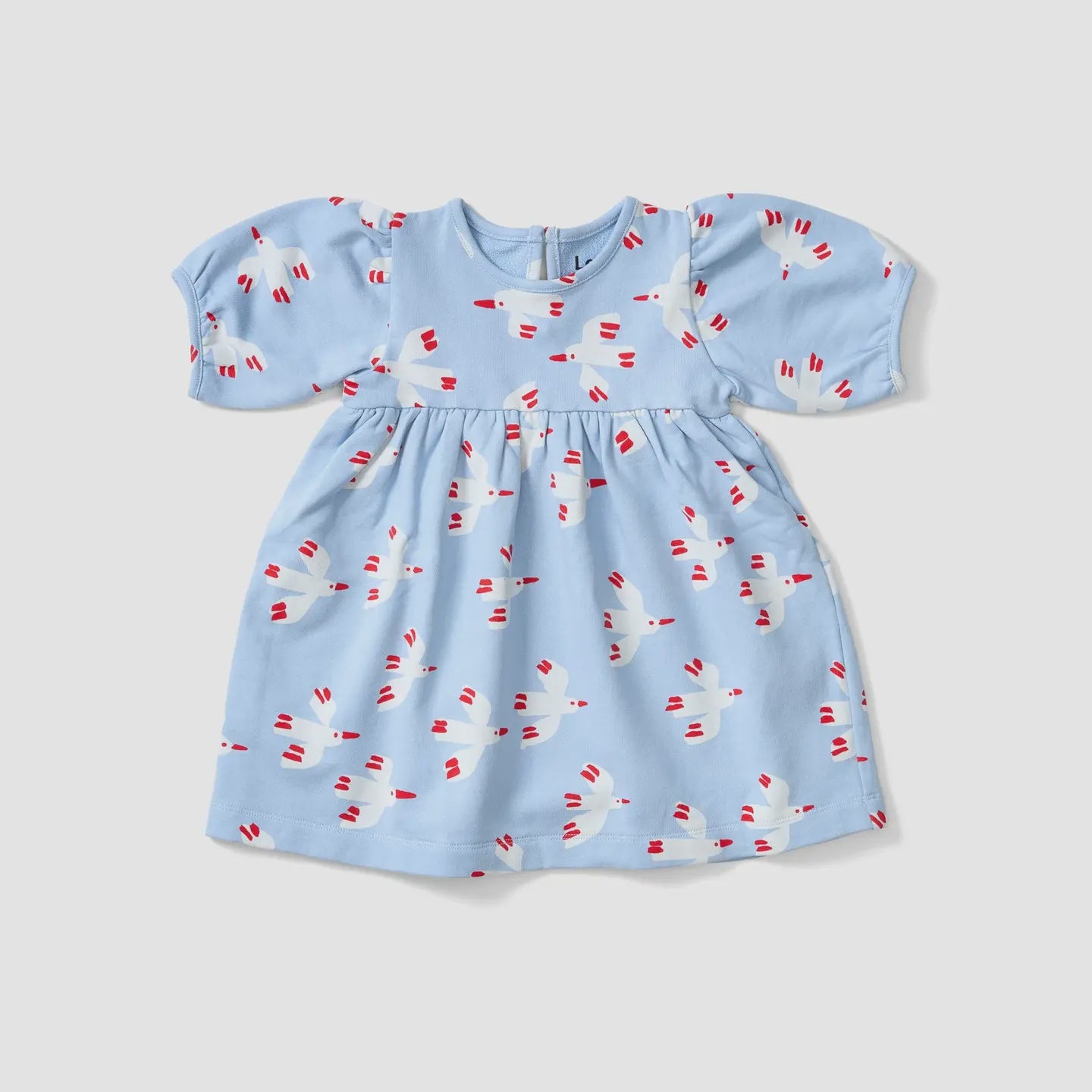 Balloon Sleeve Dress