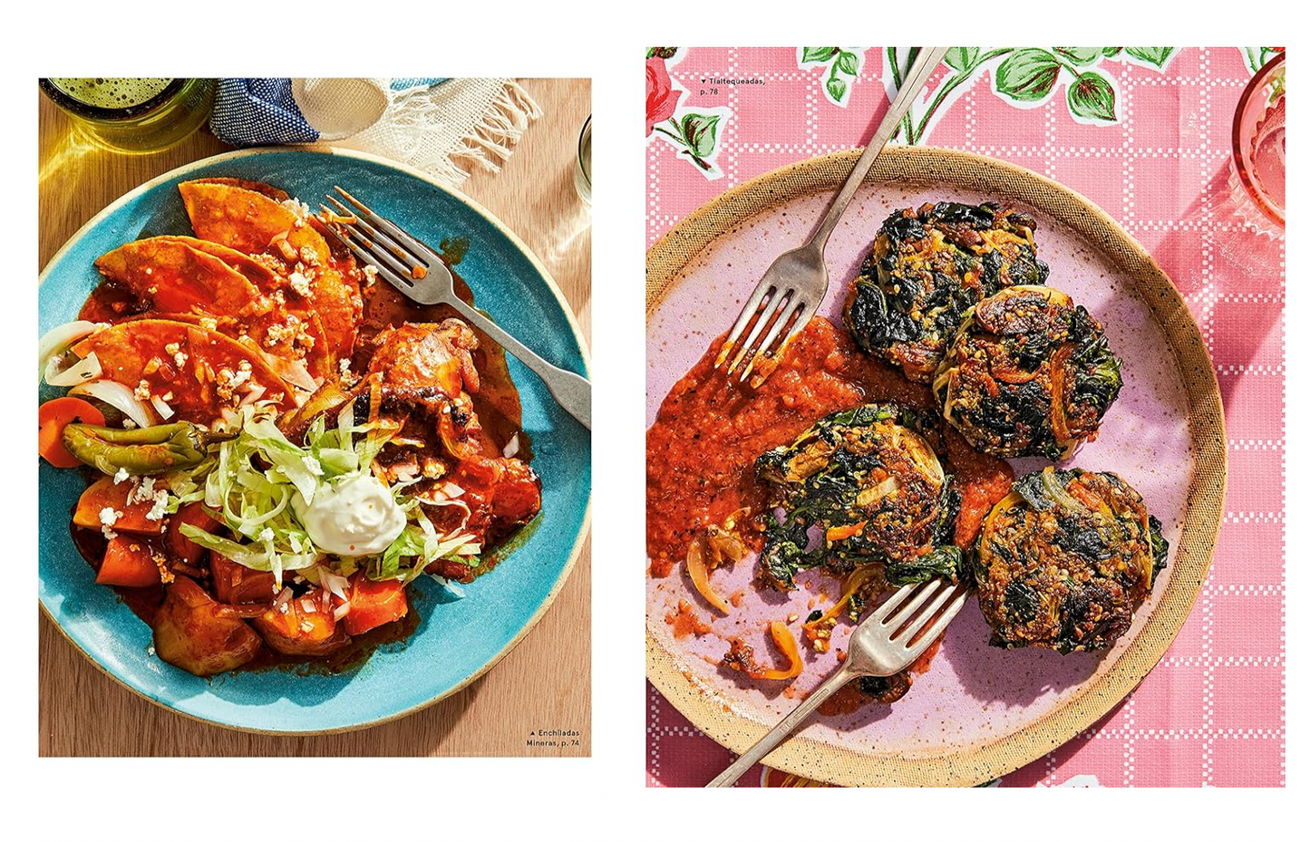 Mi Cocina: Recipes and Rapture from My Kitchen in Mexico: A Cookbook