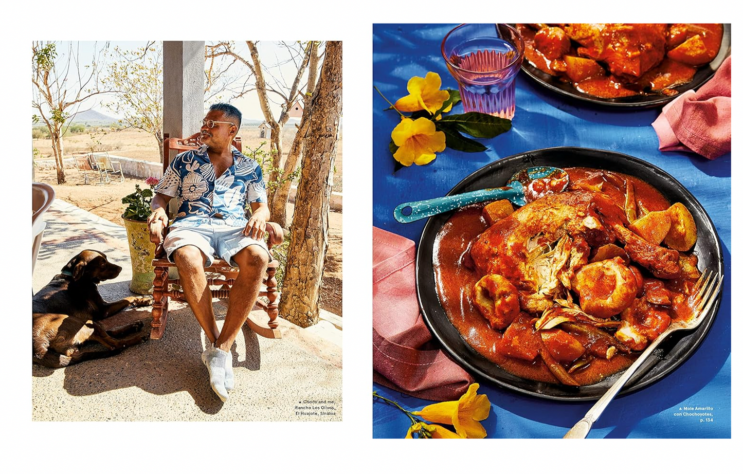 Mi Cocina: Recipes and Rapture from My Kitchen in Mexico: A Cookbook